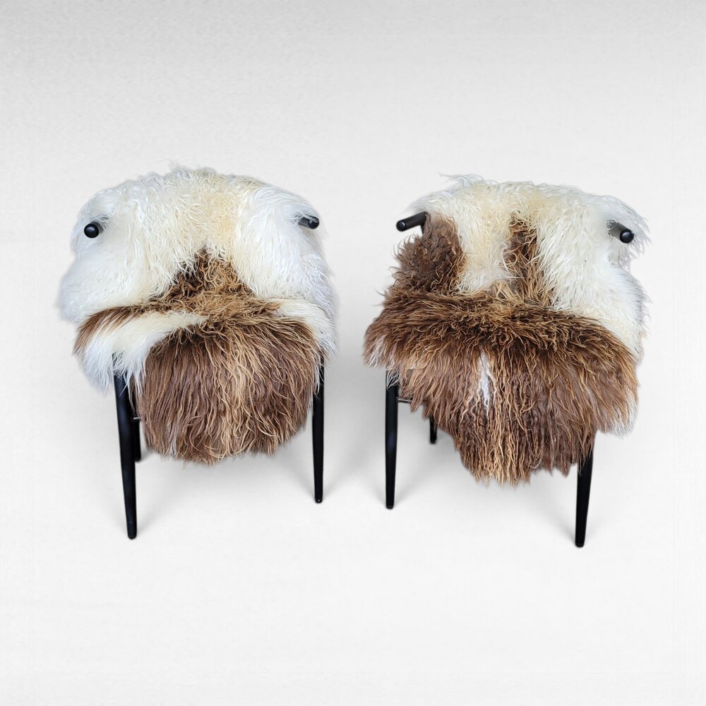 Set of 2 Genuine Icelandic Sheepskin Rugs Copper Ecru Curly Wool 45" x 30"
